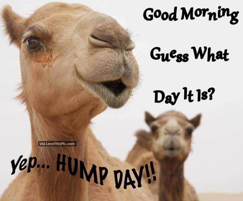 You are currently viewing So What’s YOUR Hump Day?